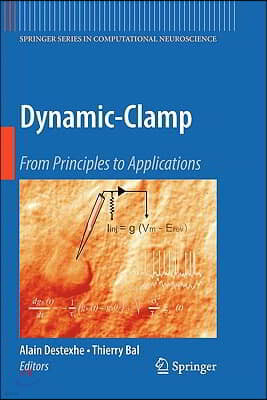 Dynamic-Clamp: From Principles to Applications