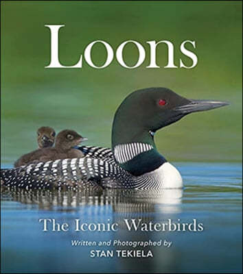 Loons: The Iconic Waterbirds