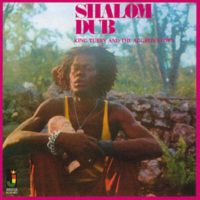 King Tubby / The Aggrovators (ŷ ͺ / Ʊ׷ιͽ) - Shalom Dub [LP] 