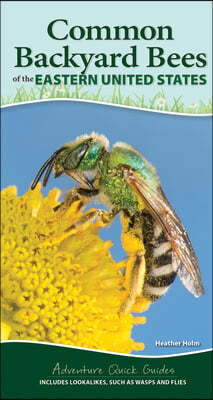 Common Native Bees of the Eastern United States: Your Way to Easily Identify Bees and Look-Alikes
