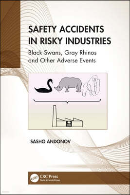 Safety Accidents in Risky Industries