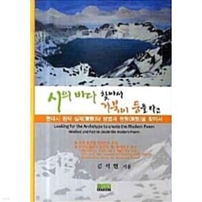 시의 바다 찾아서 거북이 등을 타고  / 최상급도서/