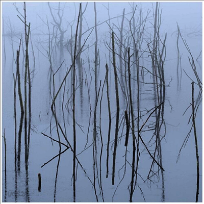 Olhava - Frozen Bloom (LP)