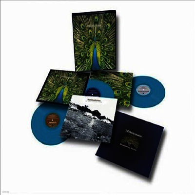 Bluetones — Expecting To Fly: 25th Anniversary 앨범 커버