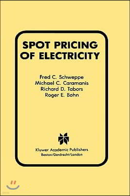 Spot Pricing of Electricity