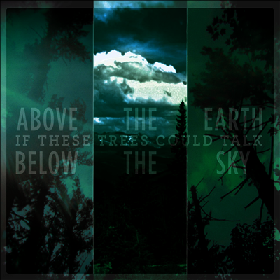If These Trees Could Talk — Above The Earth Below The Sky 앨범 커버