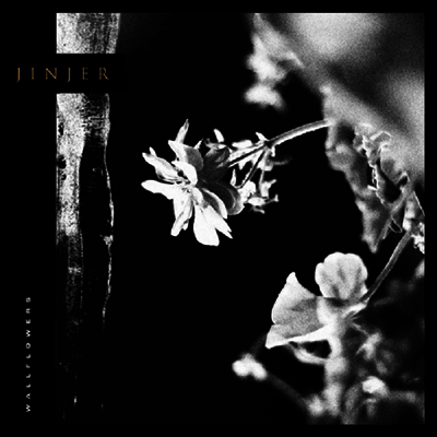 Jinjer — Wallflowers 앨범 커버