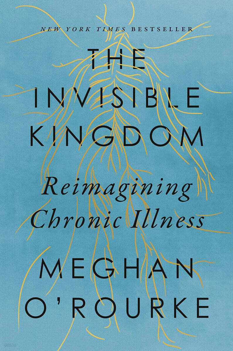 The Invisible Kingdom: Reimagining Chronic Illness