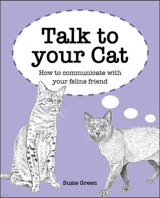 Talk to Your Cat: How to Communicate with Your Feline Friend
