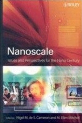 Nanoscale: Issues and Perspectives for the Nano Century (Hardcover) 