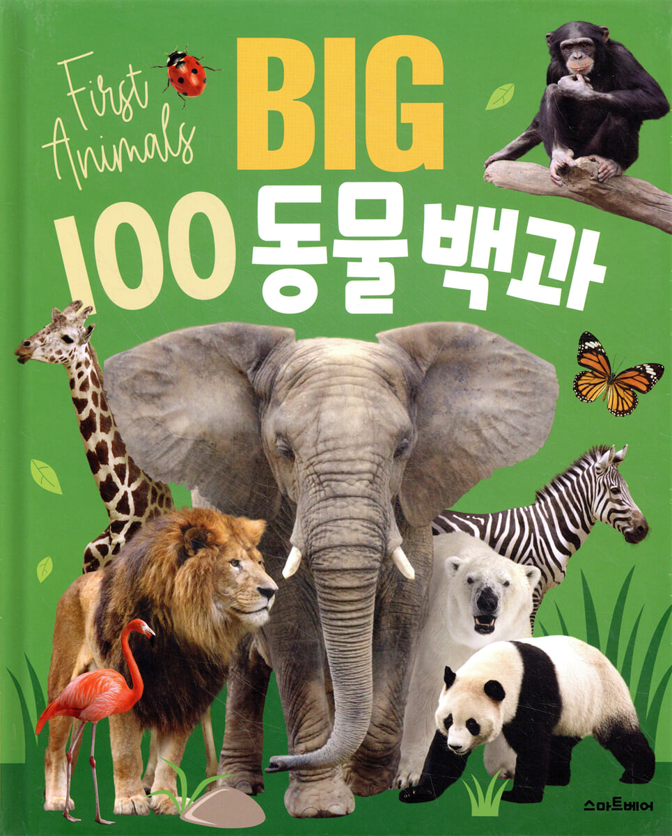 BIG 100 동물백과