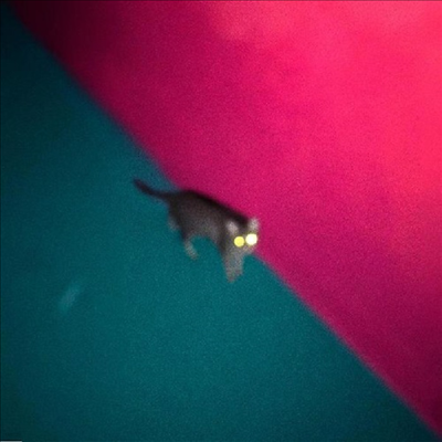 !!! — !!! - Wallop 앨범 커버