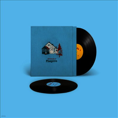 Pinegrove — Amperland, NY 앨범 커버