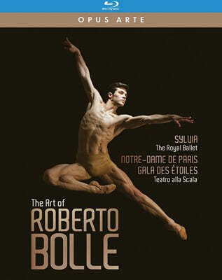 The Royal Ballet κ   (The Art of Roberto Bolle) 