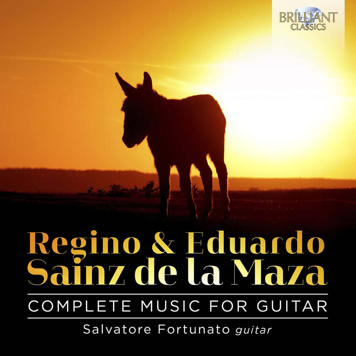 Salvatore Fortunato 사인즈 데 라 마사: 기타 음악 전곡 (Regino Sainz De La Maza: Complete Music for Guitar)