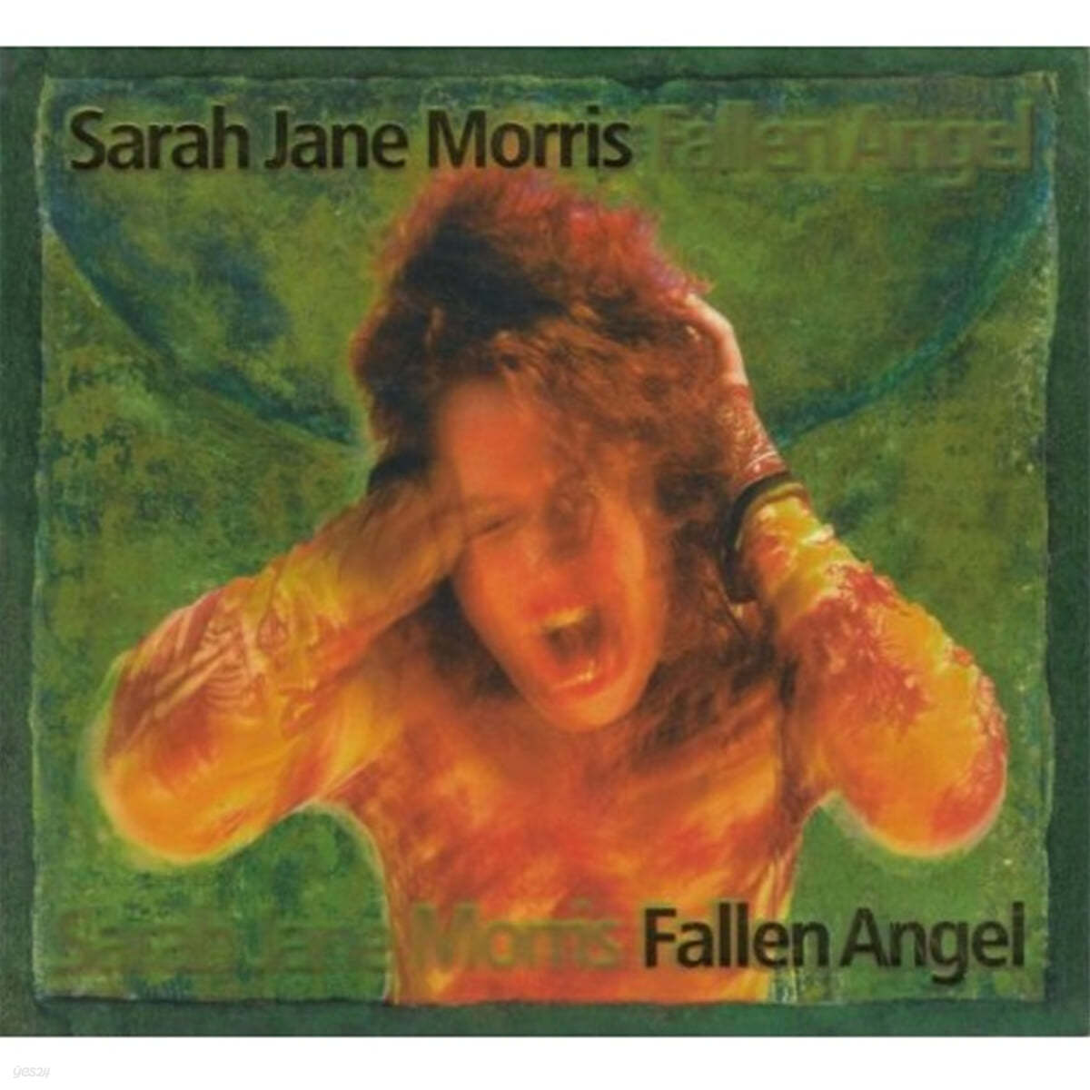 Sarah Jane Morris (사라 제인 모리스) - Fallen Angel
