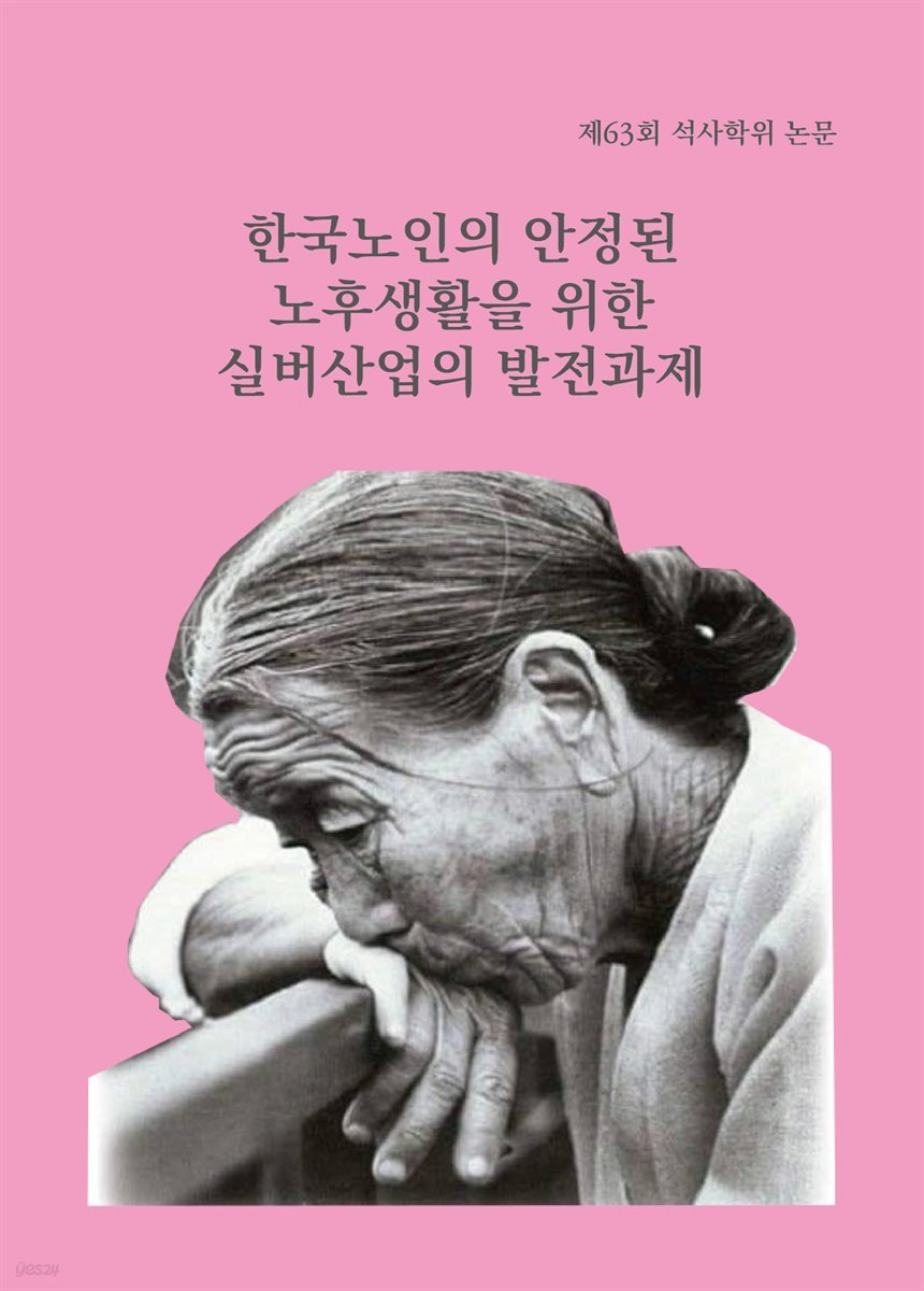 한국노인의 안정된 노후생활을 위한 실버산업의 실천과제