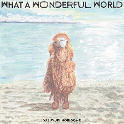 Horigome Yasuyuki (ȣ ߽Ű) - 2 What A Wonderful World [LP] 