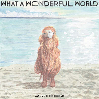 Horigome Yasuyuki — 2집 What A Wonderful World 앨범 커버