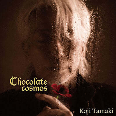 Tamaki Koji (ŸŰ ) - Chocolate Cosmos [LP] 