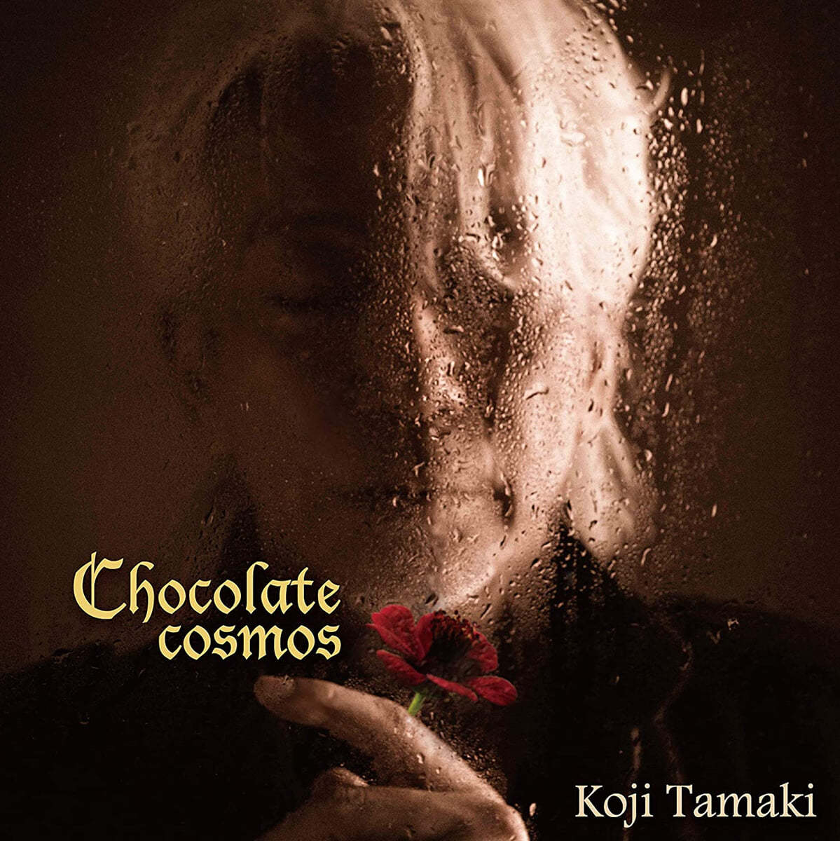 Tamaki Koji (타마키 코지) - Chocolate Cosmos [LP] 
