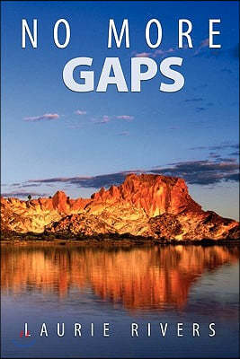 No More Gaps: Combining Health, Development & Environment Strategies to Eradicate Disadvantage in the Northern Territory of Australi