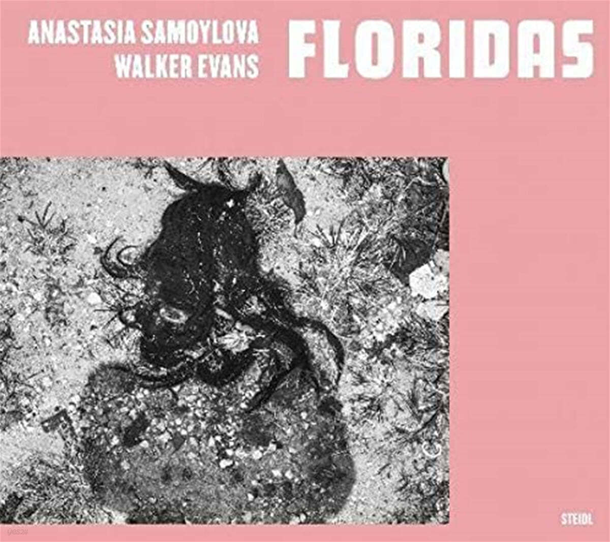 Anastasia Samoylova &amp; Walker Evans: Floridas