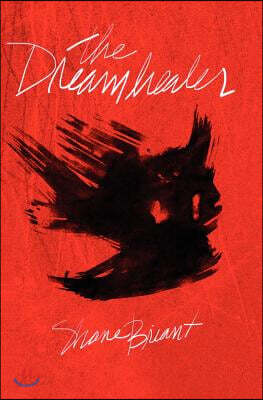 The Dreamhealer: The terryfying sequel to Shane Briant's bestselling thriller, 'Worst Nightmares.'