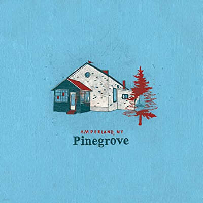 Pinegrove (파인그로브) - 5집 Amperland, NY [2LP] 