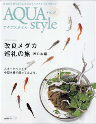 AQUA style  20