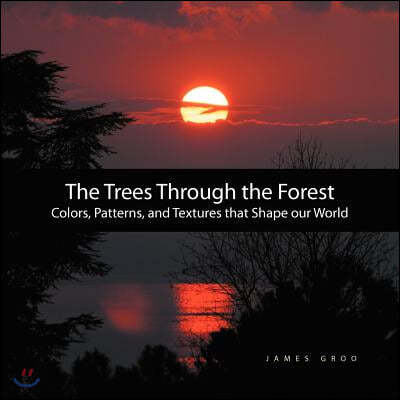 The Trees Through the Forest: Photography by James Groo