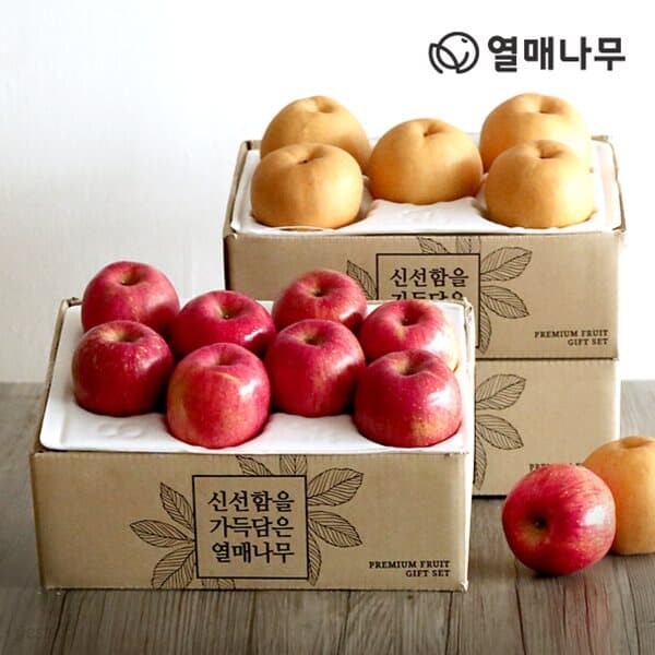 [사전예약][과일愛][열매나무]과일 2종 실속3호[사과 2kg/10~11과 + 배 2.5kg/4~5과]