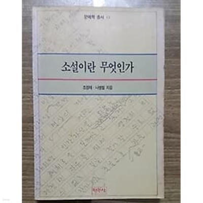 소설이란 무엇인가 /(조정래/나병철/하단참조)