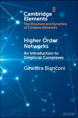 Higher-Order Networks