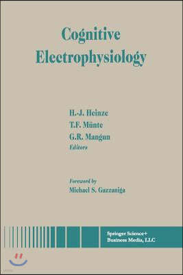 Cognitive Electrophysiology