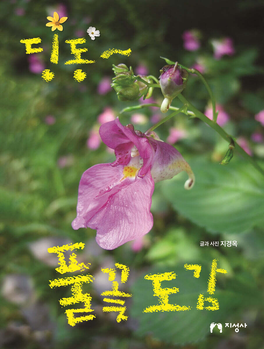 딩동~ 풀꽃도감