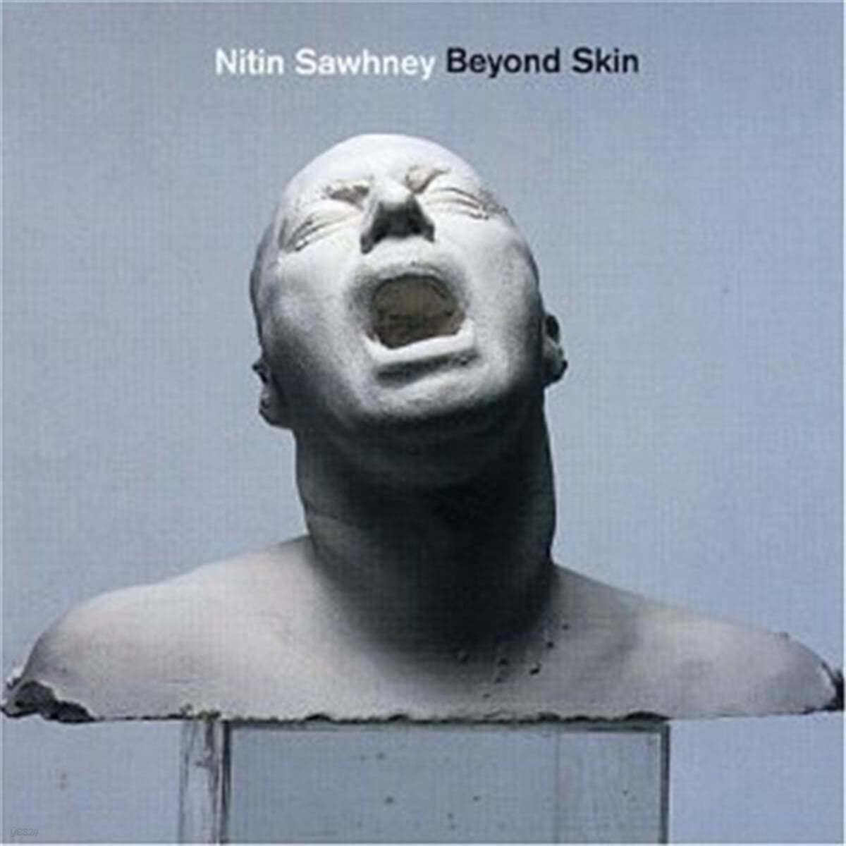 Nitin Sawhney (니틴 소니) - Beyond Skin