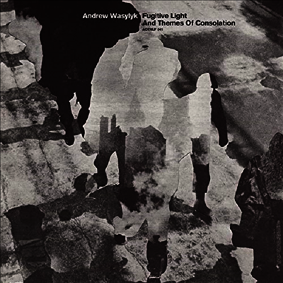 Andrew Wasylyk — Fugitive Light And Themes Of Consolation 앨범 커버