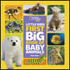 Little Kids First Big Book of Baby Animals