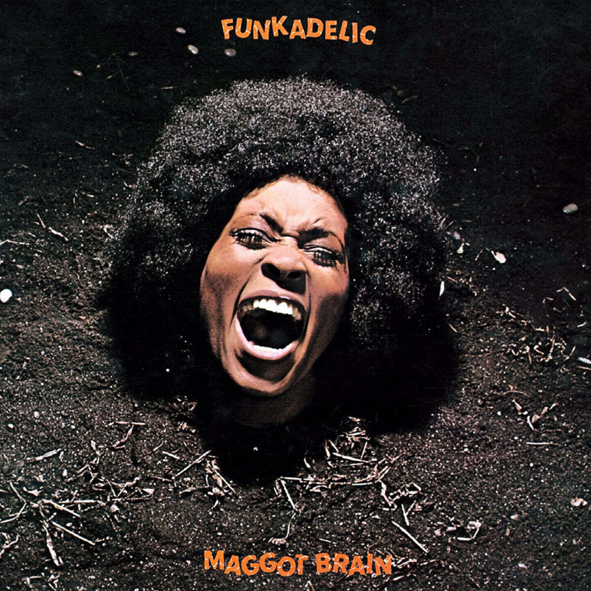 Funkadelic (펑커델릭) - 3집 Maggot Brain [LP]