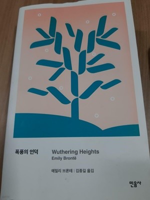 폭풍의 언덕 - 에밀리 브론테 - 김종길 옮김 / 민음사