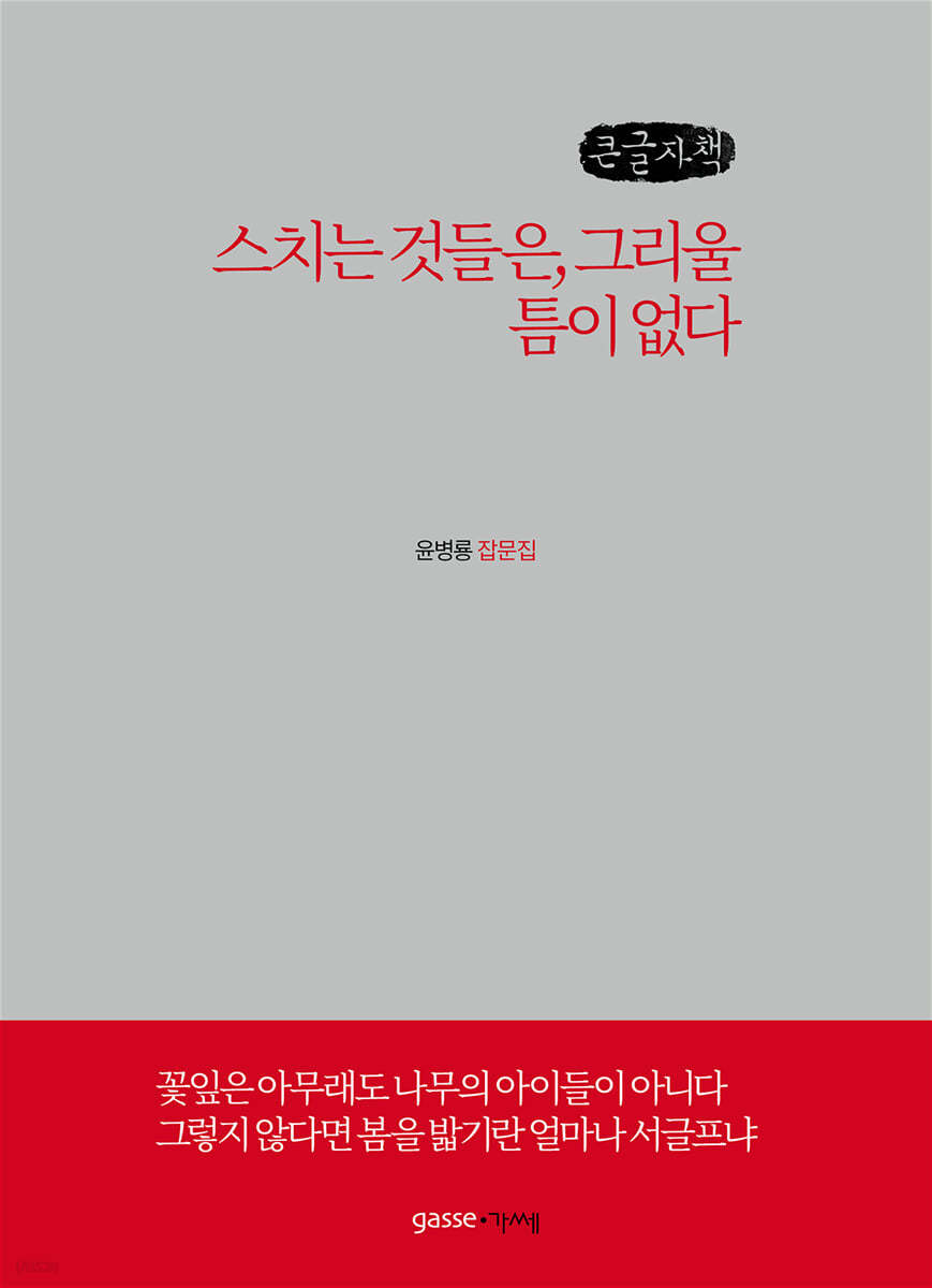스치는 것들은, 그리울 틈이 없다 (큰글씨책)