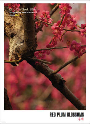 홍매 RED PLUM BLOSSOMS