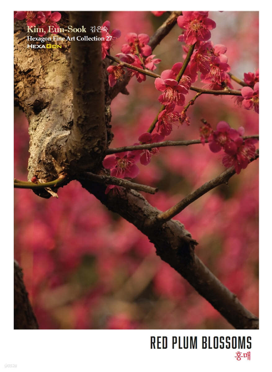 홍매 RED PLUM BLOSSOMS