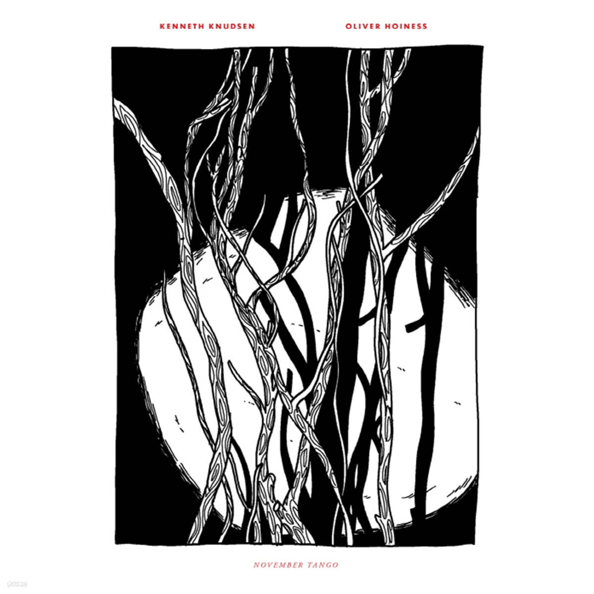 Kenneth Knudsen / Oliver Hoiness (케네스 크누드센 / 올리버 호이네스) - November Tango [LP] 