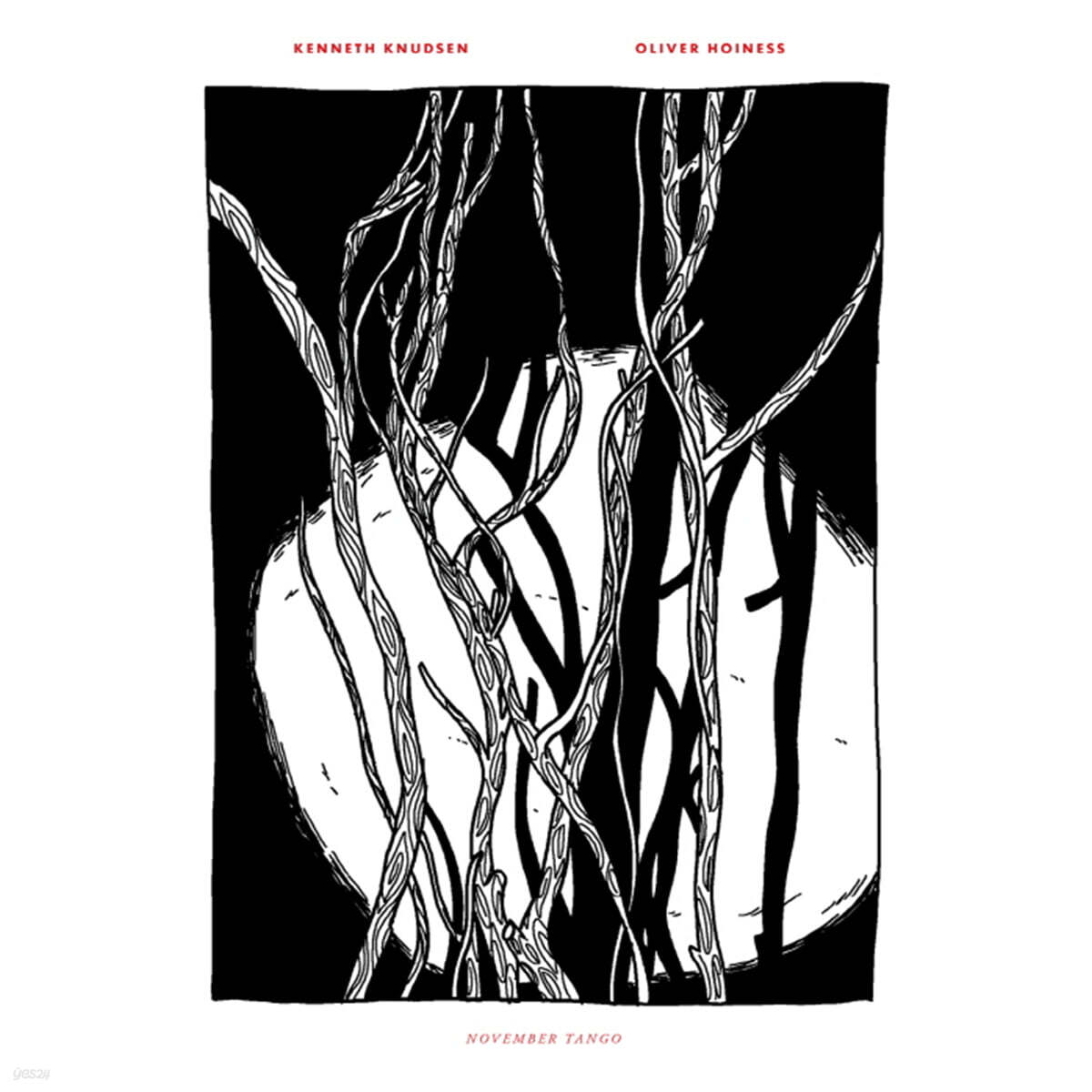 Kenneth Knudsen / Oliver Hoiness (케네스 크누드센 / 올리버 호이네스) - November Tango [LP]