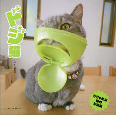 ドジ猫