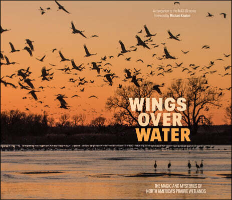 Wings Over Water: The Vital Magic of North America's Prairie Wetlands