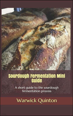 Sourdough Fermentation Mini Guide: A short guide to the sourdough fermentation process