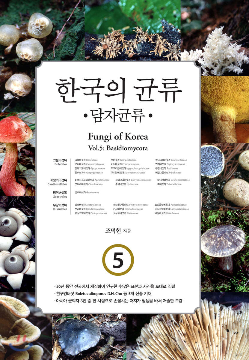한국의 균류 5